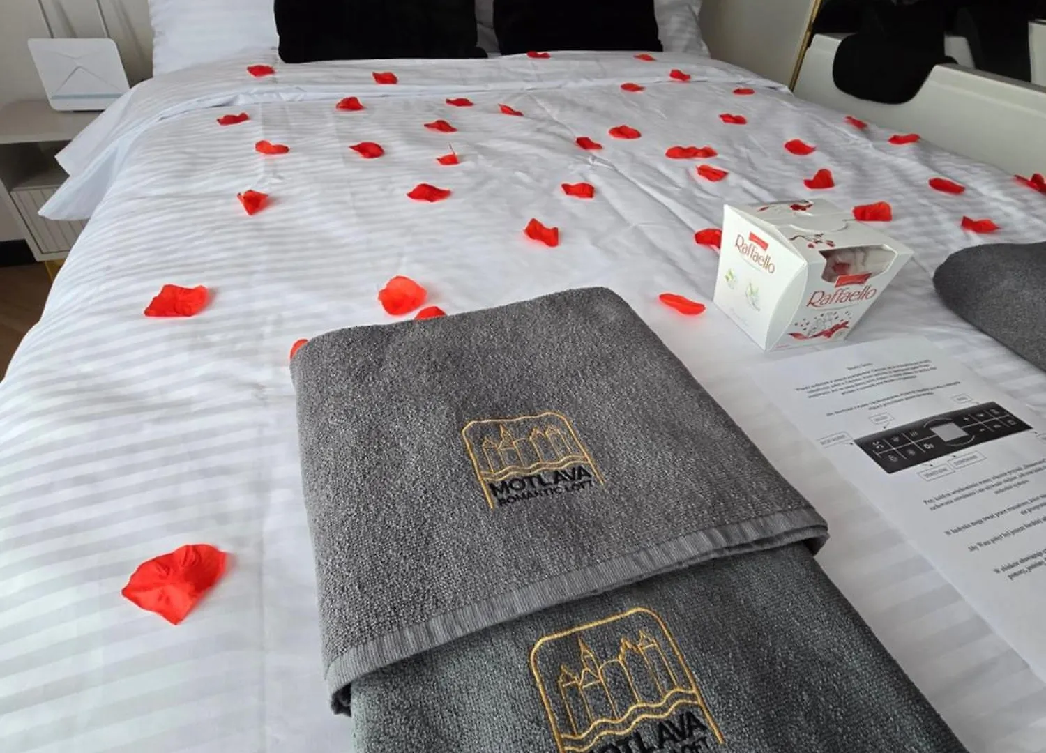 Aparthotel Motlava Romantic Loft Gdansk